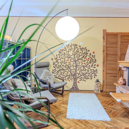 Апартаменты Tree House-Old Town Брашов Экстерьер фото